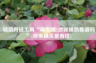 辅助开挂工具“麻友圈2透视辅助靠谱吗”(原来确实是有挂)