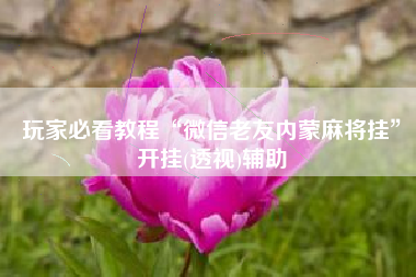 玩家必看教程“微信老友内蒙麻将挂”开挂(透视)辅助