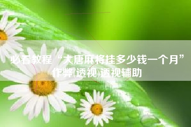 必看教程“大唐麻将挂多少钱一个月	”作弊(透视)透视辅助