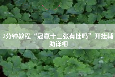 3分钟教程“冠赢十三张有挂吗”开挂辅助详细