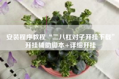 安装程序教程“二八杠对子开挂下载	”开挂辅助脚本+详细开挂