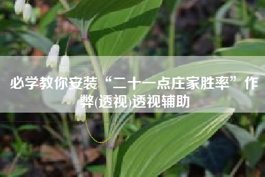必学教你安装“二十一点庄家胜率	”作弊(透视)透视辅助