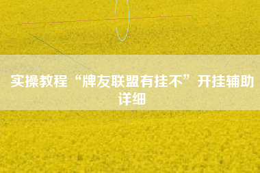 实操教程“牌友联盟有挂不”开挂辅助详细