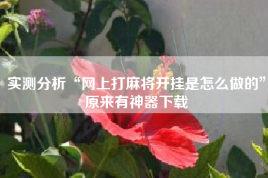 实测分析“网上打麻将开挂是怎么做的	”原来有神器下载