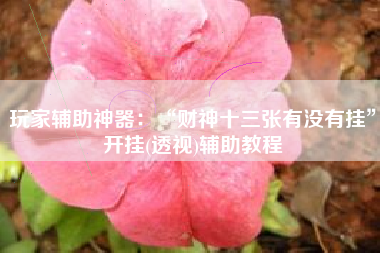 玩家辅助神器：“财神十三张有没有挂”开挂(透视)辅助教程