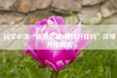 玩家必读“欢乐龙城3可以开挂吗”详细开挂玩法