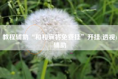 教程辅助“和和麻将免费挂”开挂(透视)辅助