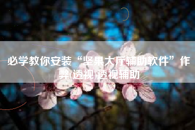 必学教你安装“坚果大厅辅助软件”作弊(透视)透视辅助