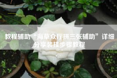 教程辅助“海草众厅拼三张辅助”详细分享装挂步骤教程