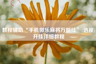 教程辅助“手机微乐麻将万能挂”(透视)开挂详细教程