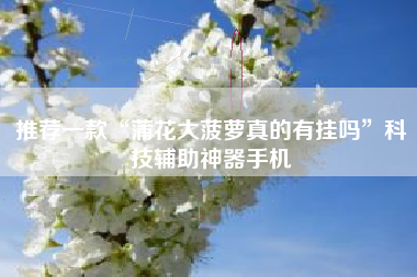 推荐一款“蒲花大菠萝真的有挂吗”科技辅助神器手机