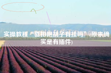 实操教程“喜扣跑胡子有挂吗”(原来确实是有插件)