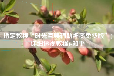 指定教程“时光互娱辅助神器免费版”(详细透视教程)-知乎