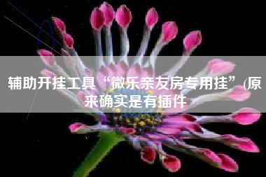 辅助开挂工具“微乐亲友房专用挂	”(原来确实是有插件