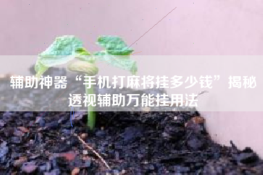 辅助神器“手机打麻将挂多少钱”揭秘透视辅助万能挂用法