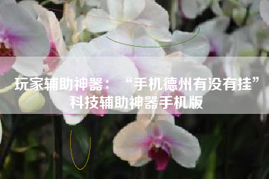 玩家辅助神器：“手机德州有没有挂”科技辅助神器手机版