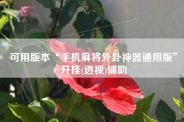 可用版本“手机麻将外卦神器通用版	”开挂(透视)辅助