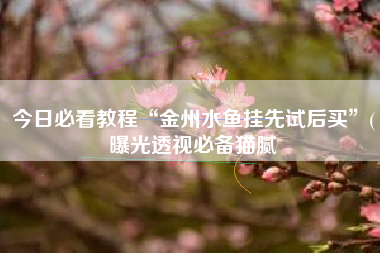 今日必看教程“金州水鱼挂先试后买	”(曝光透视必备猫腻
