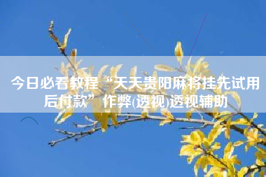 今日必看教程“天天贵阳麻将挂先试用后付款	”作弊(透视)透视辅助