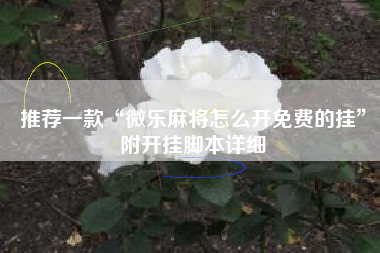 推荐一款“微乐麻将怎么开免费的挂”附开挂脚本详细