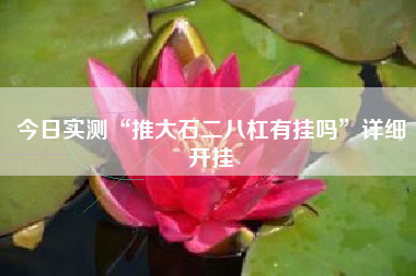 今日实测“推大石二八杠有挂吗”详细开挂