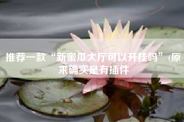 推荐一款“新蜜瓜大厅可以开挂吗	”(原来确实是有插件