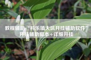 教程辅助“科乐填大坑开挂辅助软件”开挂辅助脚本+详细开挂