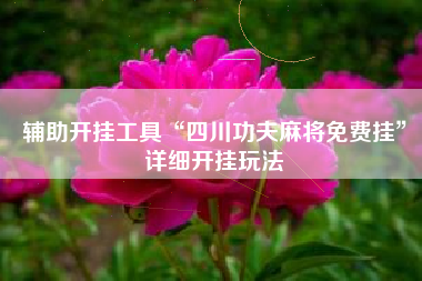 辅助开挂工具“四川功夫麻将免费挂”详细开挂玩法