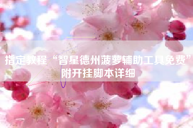 指定教程“智星德州菠萝辅助工具免费”附开挂脚本详细