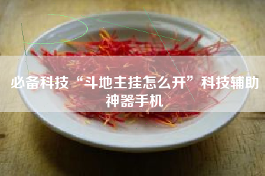 必备科技“斗地主挂怎么开”科技辅助神器手机