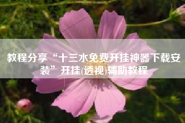 教程分享“十三水免费开挂神器下载安装”开挂(透视)辅助教程