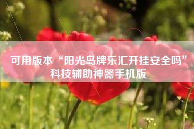 可用版本“阳光岛牌乐汇开挂安全吗”科技辅助神器手机版