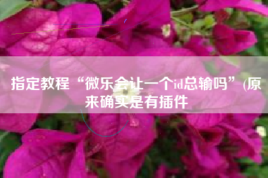 指定教程“微乐会让一个id总输吗”(原来确实是有插件