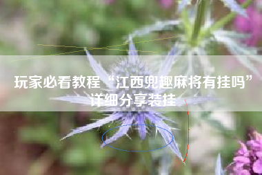 玩家必看教程“江西兜趣麻将有挂吗”详细分享装挂