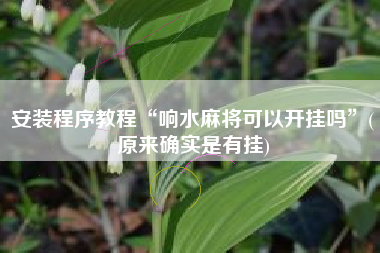 安装程序教程“响水麻将可以开挂吗”(原来确实是有挂)