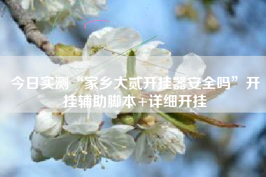 今日实测“家乡大贰开挂器安全吗	”开挂辅助脚本+详细开挂