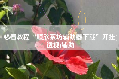 必看教程“顺欣茶坊辅助器下载	”开挂(透视)辅助