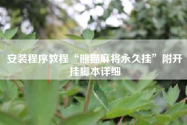 安装程序教程“熊猫麻将永久挂”附开挂脚本详细