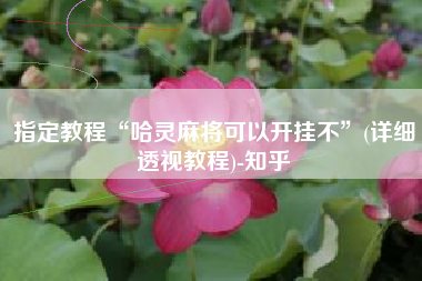 指定教程“哈灵麻将可以开挂不”(详细透视教程)-知乎