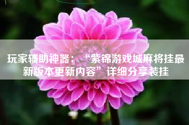 玩家辅助神器：“紫锦游戏城麻将挂最新版本更新内容”详细分享装挂