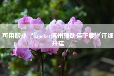 可用版本“aapoker德州辅助挂下载”详细开挂