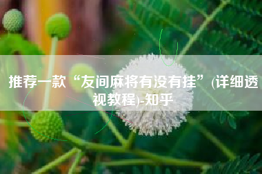 推荐一款“友间麻将有没有挂	”(详细透视教程)-知乎