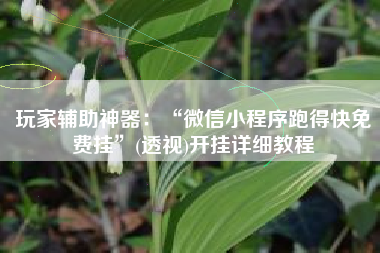 玩家辅助神器：“微信小程序跑得快免费挂”(透视)开挂详细教程