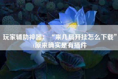 玩家辅助神器：“来几局开挂怎么下载	”(原来确实是有插件