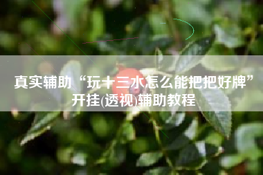 真实辅助“玩十三水怎么能把把好牌”开挂(透视)辅助教程
