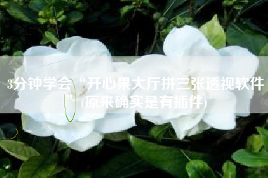 3分钟学会“开心果大厅拼三张透视软件	”(原来确实是有插件)