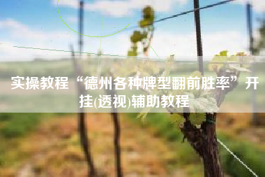 实操教程“德州各种牌型翻前胜率	”开挂(透视)辅助教程