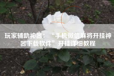 玩家辅助神器：“手机微信麻将开挂神器下载软件”开挂详细教程