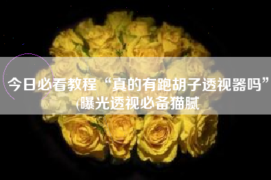 今日必看教程“真的有跑胡子透视器吗”(曝光透视必备猫腻