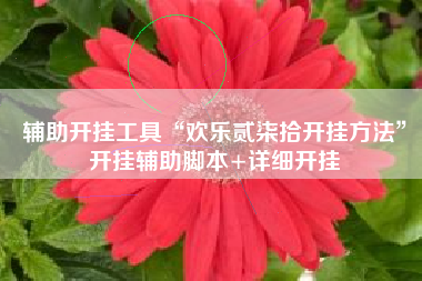 辅助开挂工具“欢乐贰柒拾开挂方法”开挂辅助脚本+详细开挂